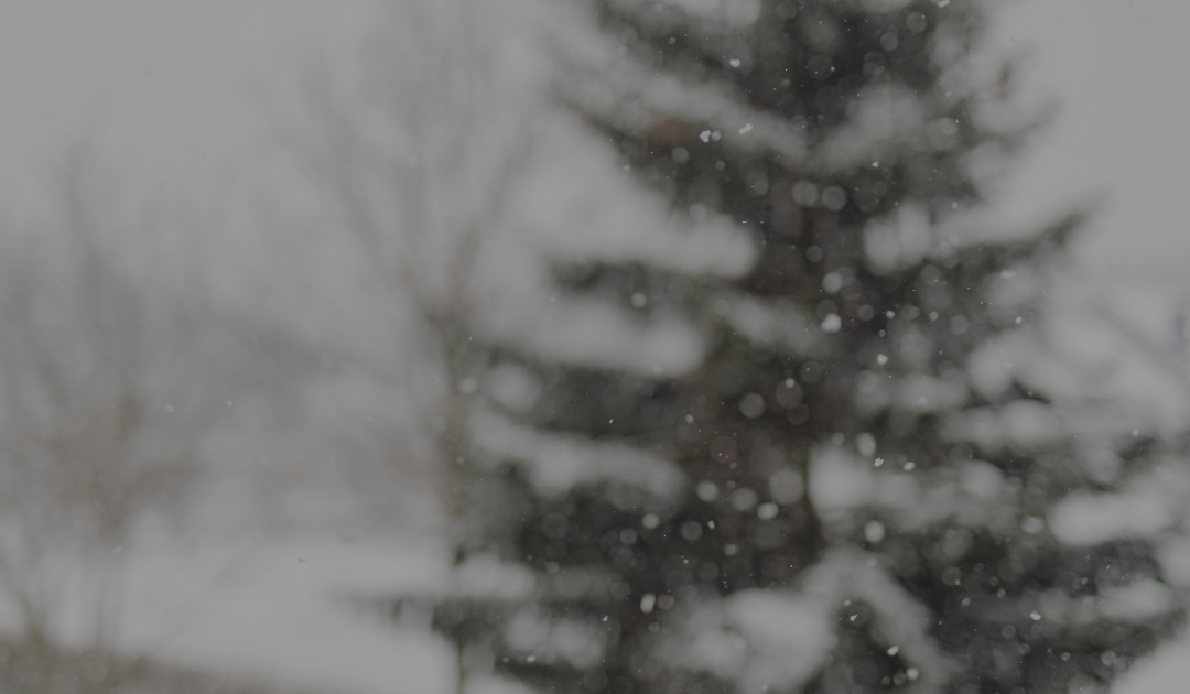 Caring for Your Mental Health Over the Holidays: Simple Skills That Actually Help