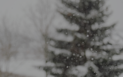 Caring for Your Mental Health Over the Holidays: Simple Skills That Actually Help