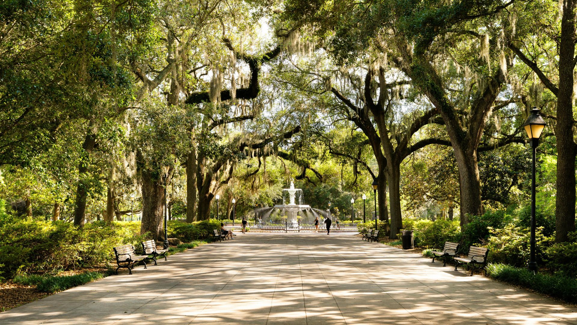 A tree-lined path under mossy oaks leading toward a fountain